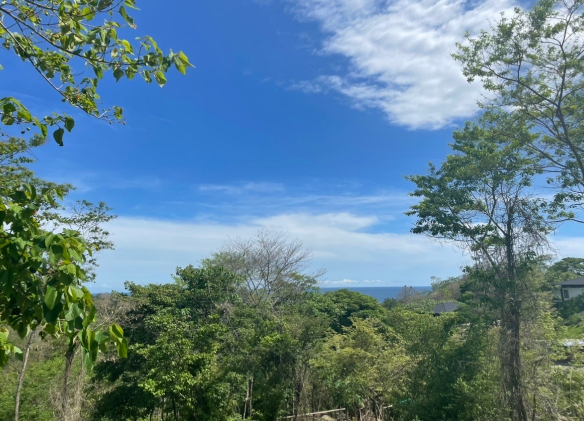 Commercial Ocean View Hermosa Lot — photo 2 of 8