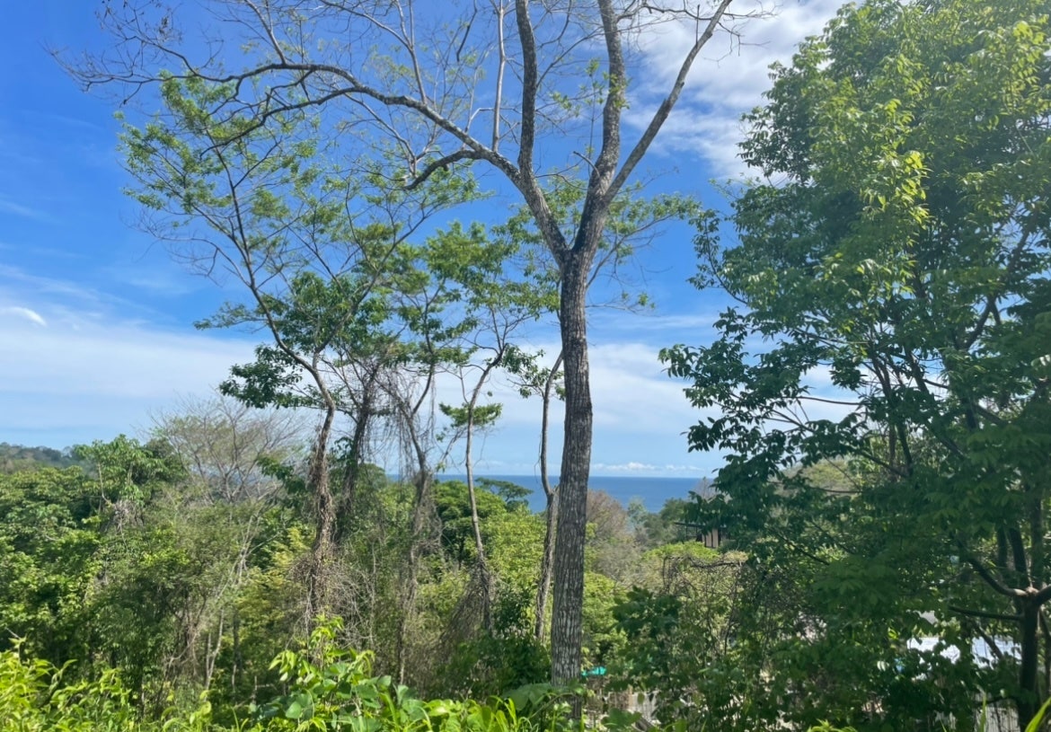 Commercial Ocean View Hermosa Lot — photo 3 of 8