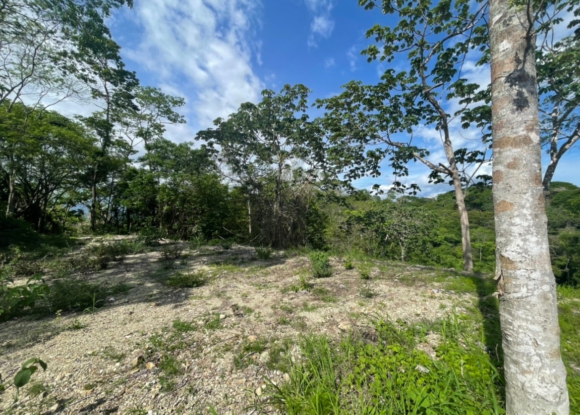 Commercial Ocean View Hermosa Lot — photo 4 of 8
