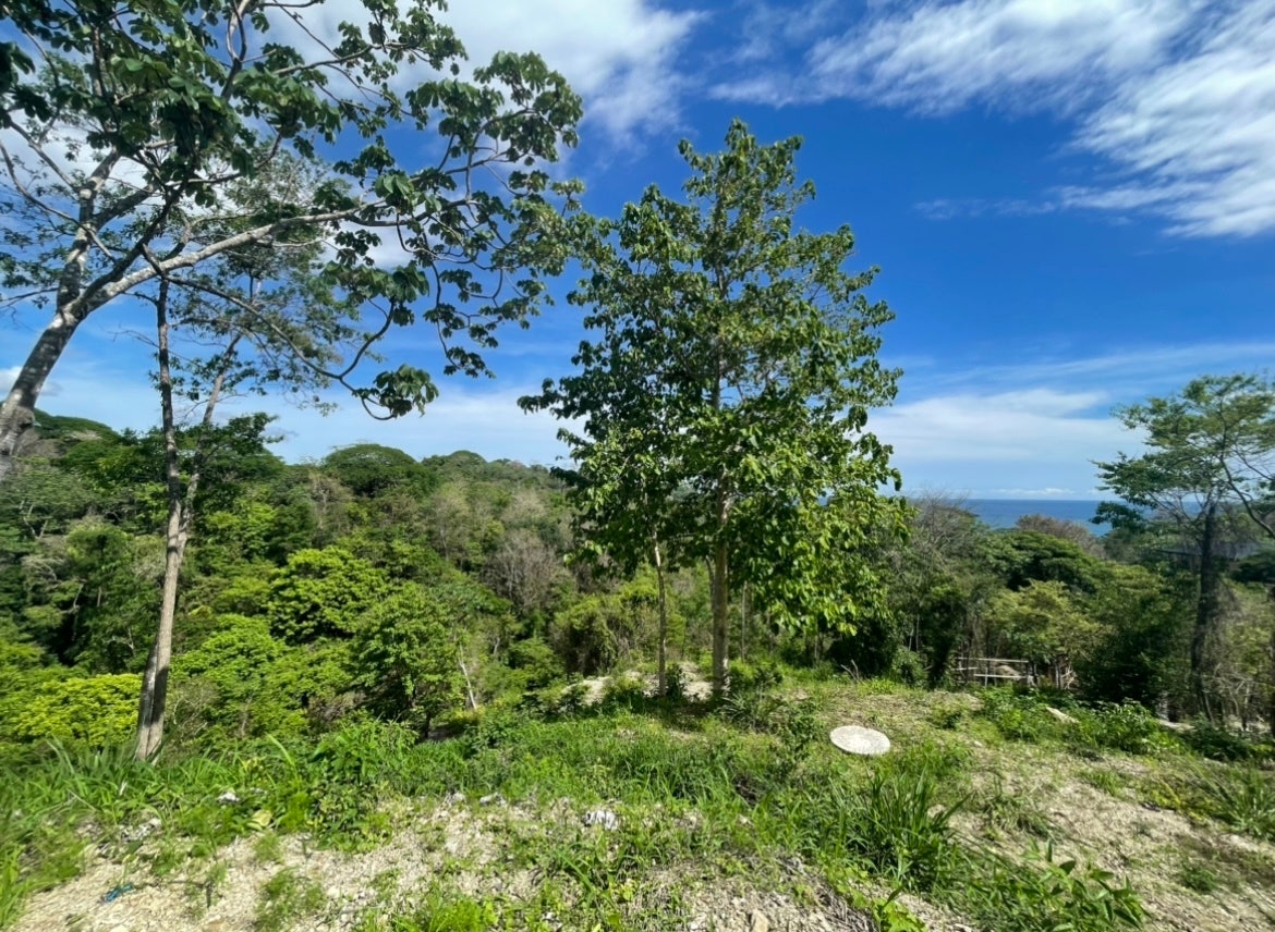 Commercial Ocean View Hermosa Lot — photo 7 of 8