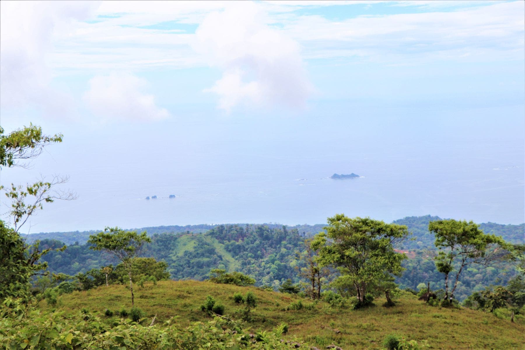 Three Stunning Ocean View Farms in Uvita — photo 9 of 19