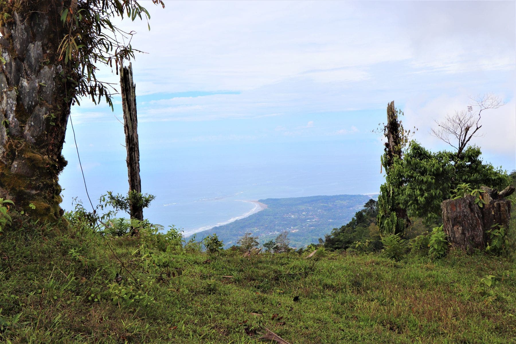 Three Stunning Ocean View Farms in Uvita — photo 11 of 19