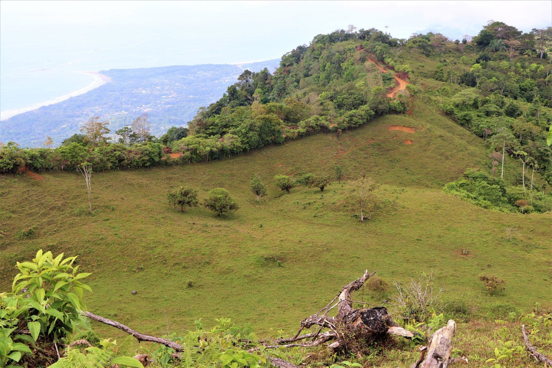 Three Stunning Ocean View Farms in Uvita — photo 7 of 19