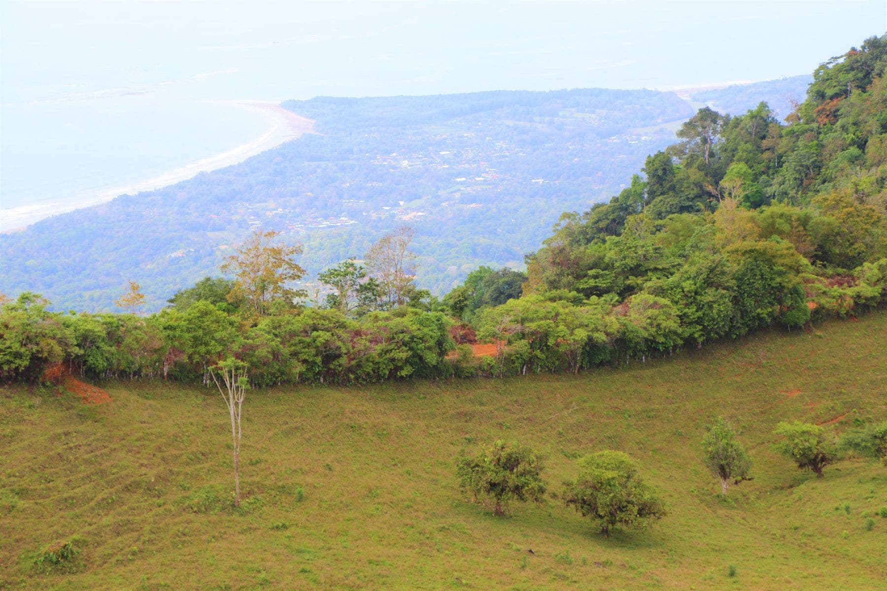 Three Stunning Ocean View Farms in Uvita — photo 12 of 19