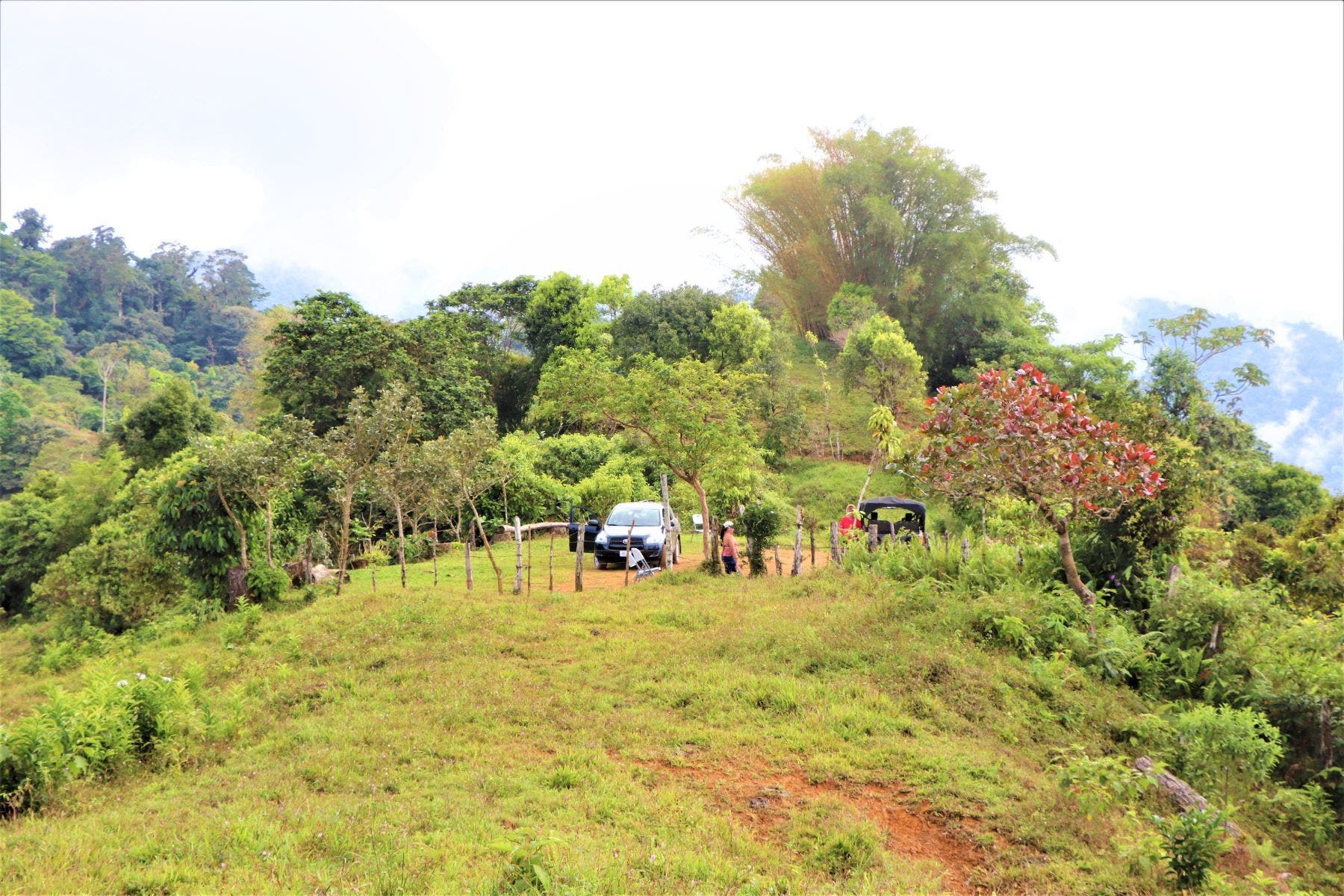 Three Stunning Ocean View Farms in Uvita — photo 15 of 19