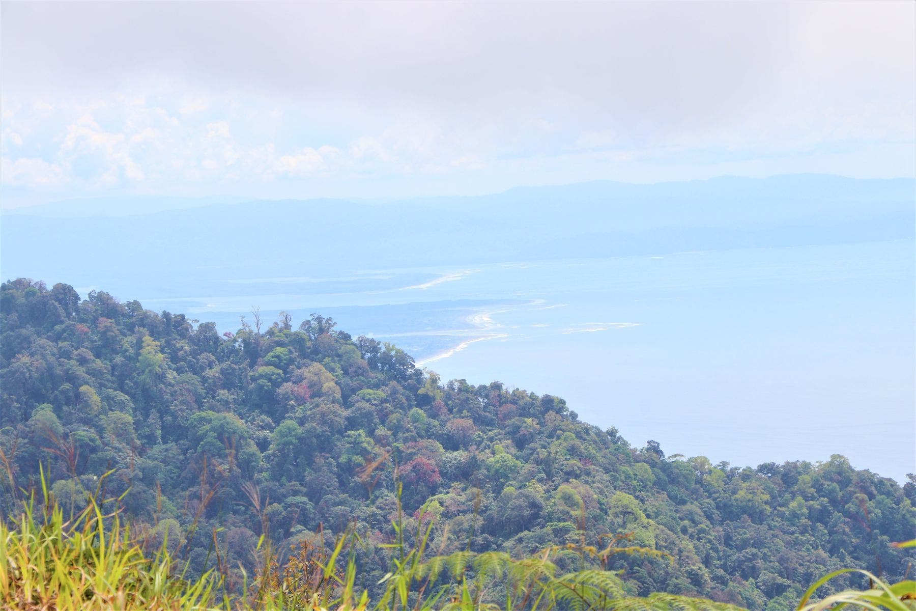 Three Stunning Ocean View Farms in Uvita — photo 8 of 19