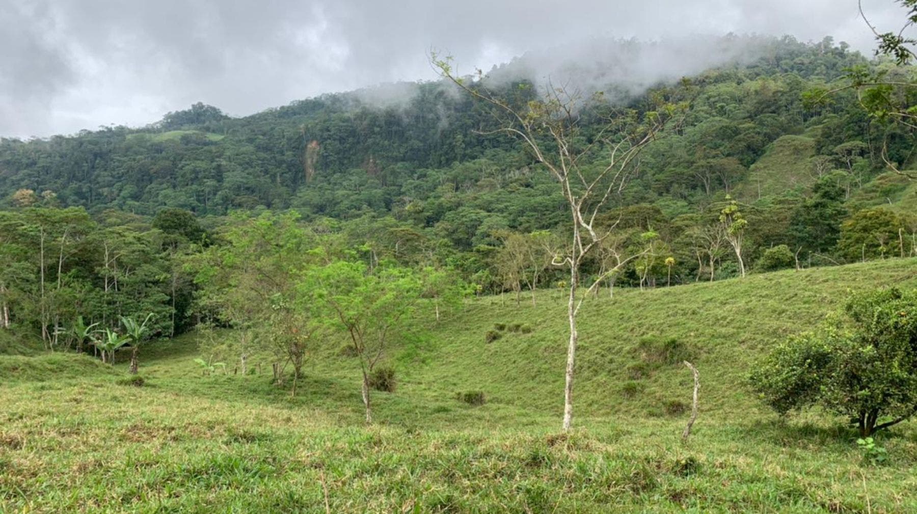 Waterfall View Farm on 11 Acres, in Uvita, Uvita, Dominical, Bahia Ballena, Puntarenas, Costa Rica 60504 — photo 3 of 5