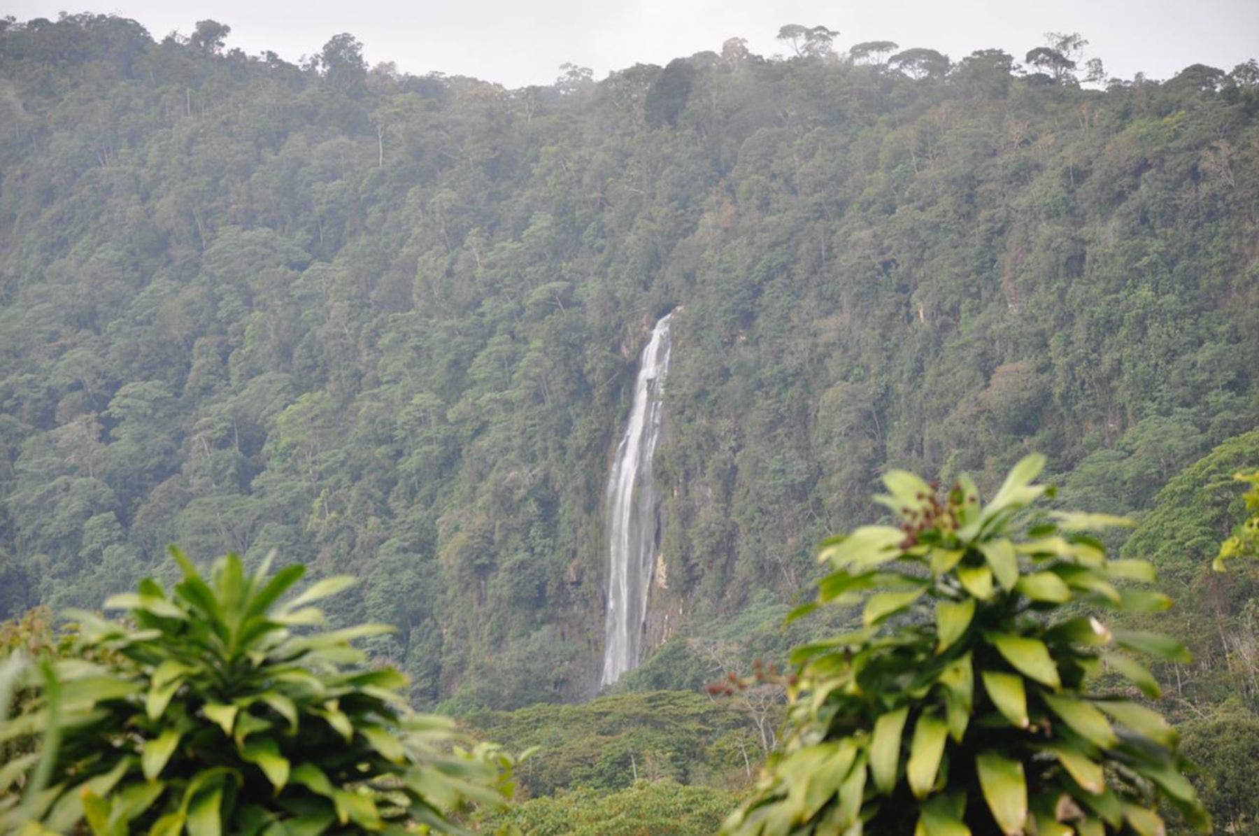 Waterfall View Farm on 11 Acres, in Uvita, Uvita, Dominical, Bahia Ballena, Puntarenas, Costa Rica 60504