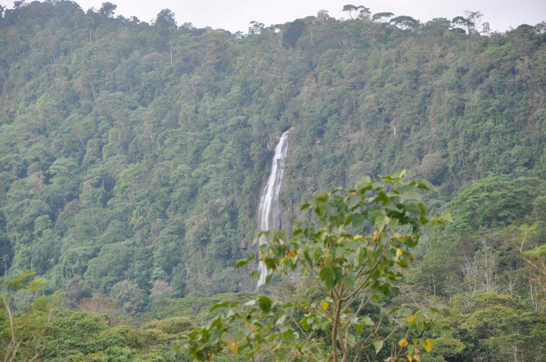 Waterfall View Farm on 11 Acres, in Uvita — photo 9 of 15