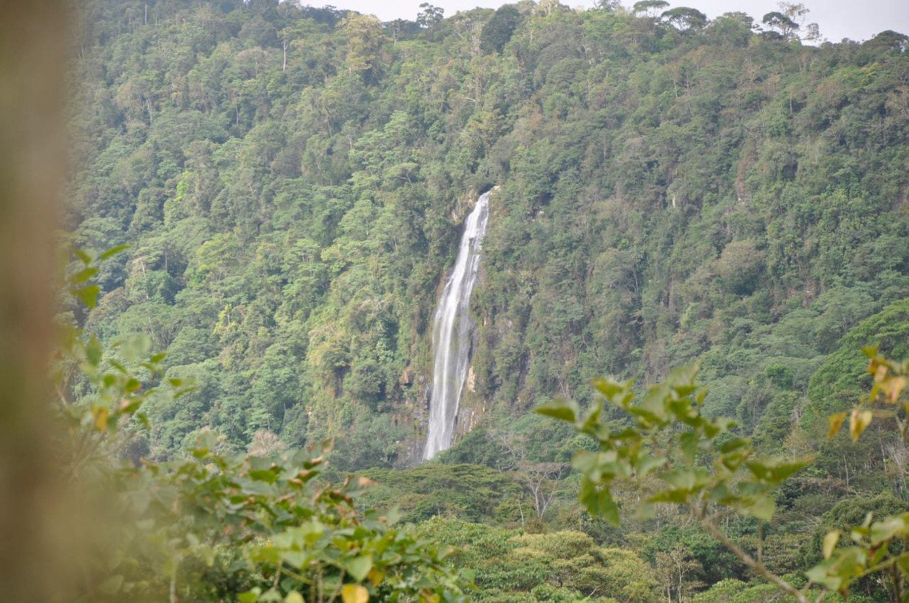Waterfall View Farm on 11 Acres, in Uvita, Uvita, Dominical, Bahia Ballena, Puntarenas, Costa Rica 60504 — photo 2 of 5