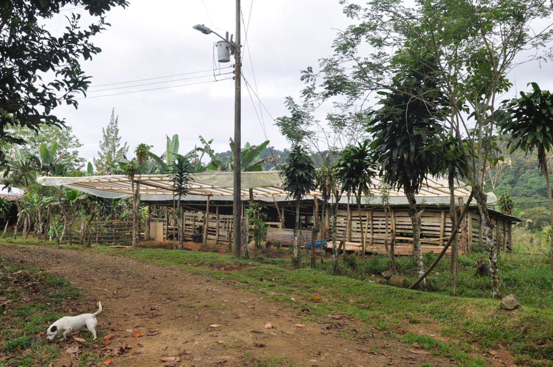 Waterfall View Farm on 11 Acres, in Uvita — photo 10 of 15