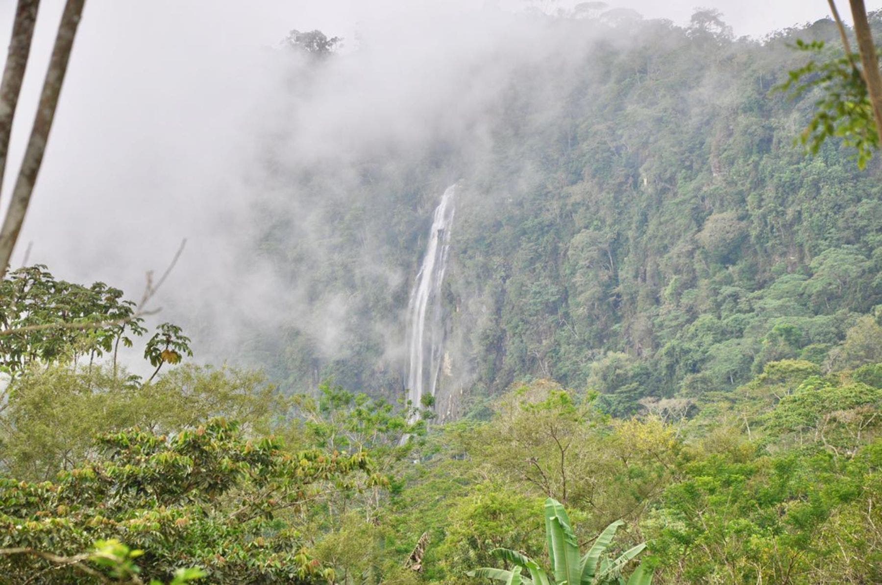 Waterfall View Farm on 11 Acres, in Uvita — photo 11 of 15