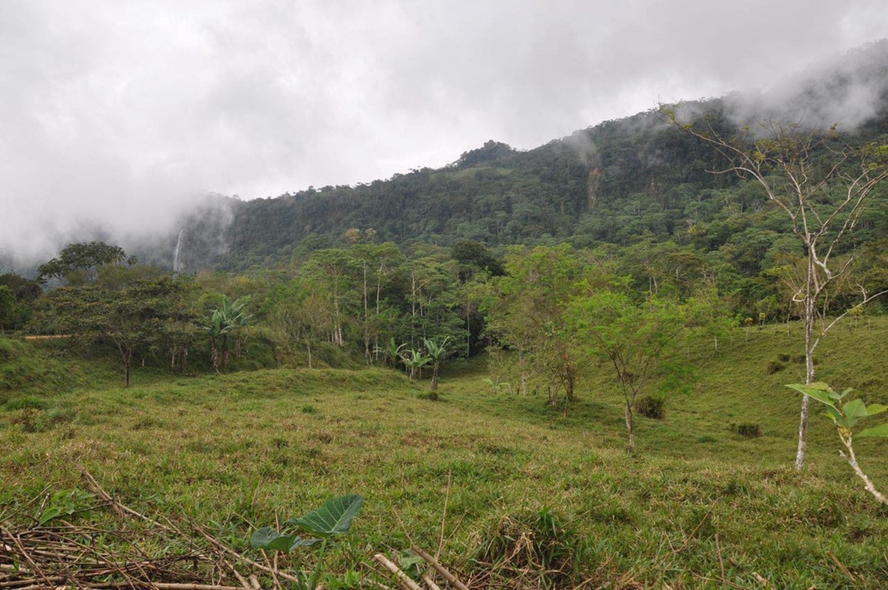 Waterfall View Farm on 11 Acres, in Uvita — photo 12 of 15