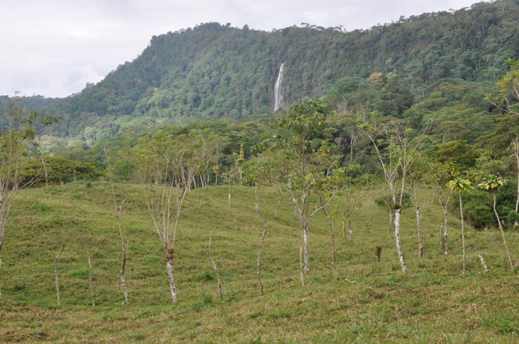 Waterfall View Farm on 11 Acres, in Uvita, Uvita, Dominical, Bahia Ballena, Puntarenas, Costa Rica 60504 — photo 5 of 5