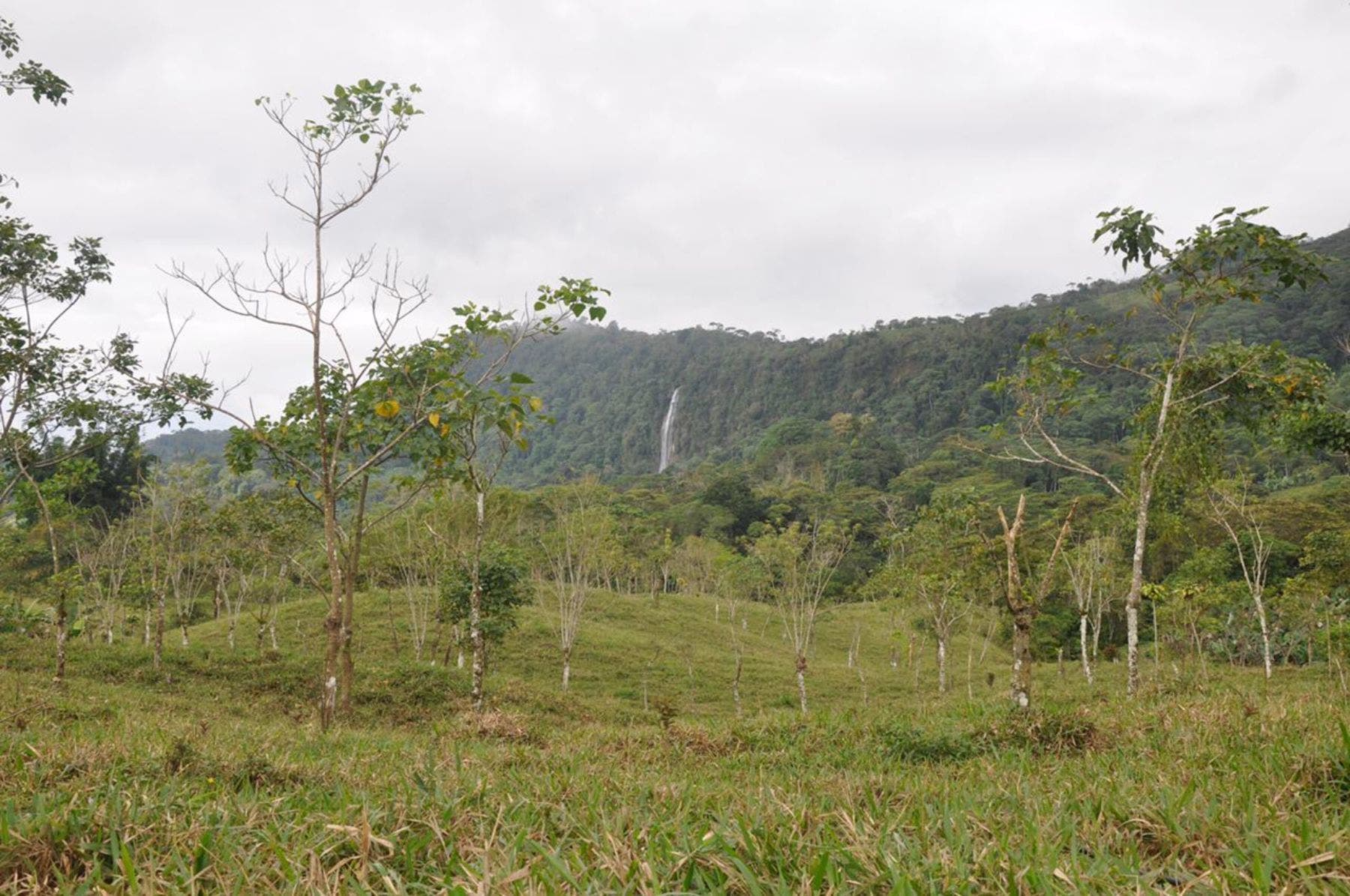 Waterfall View Farm on 11 Acres, in Uvita — photo 15 of 15