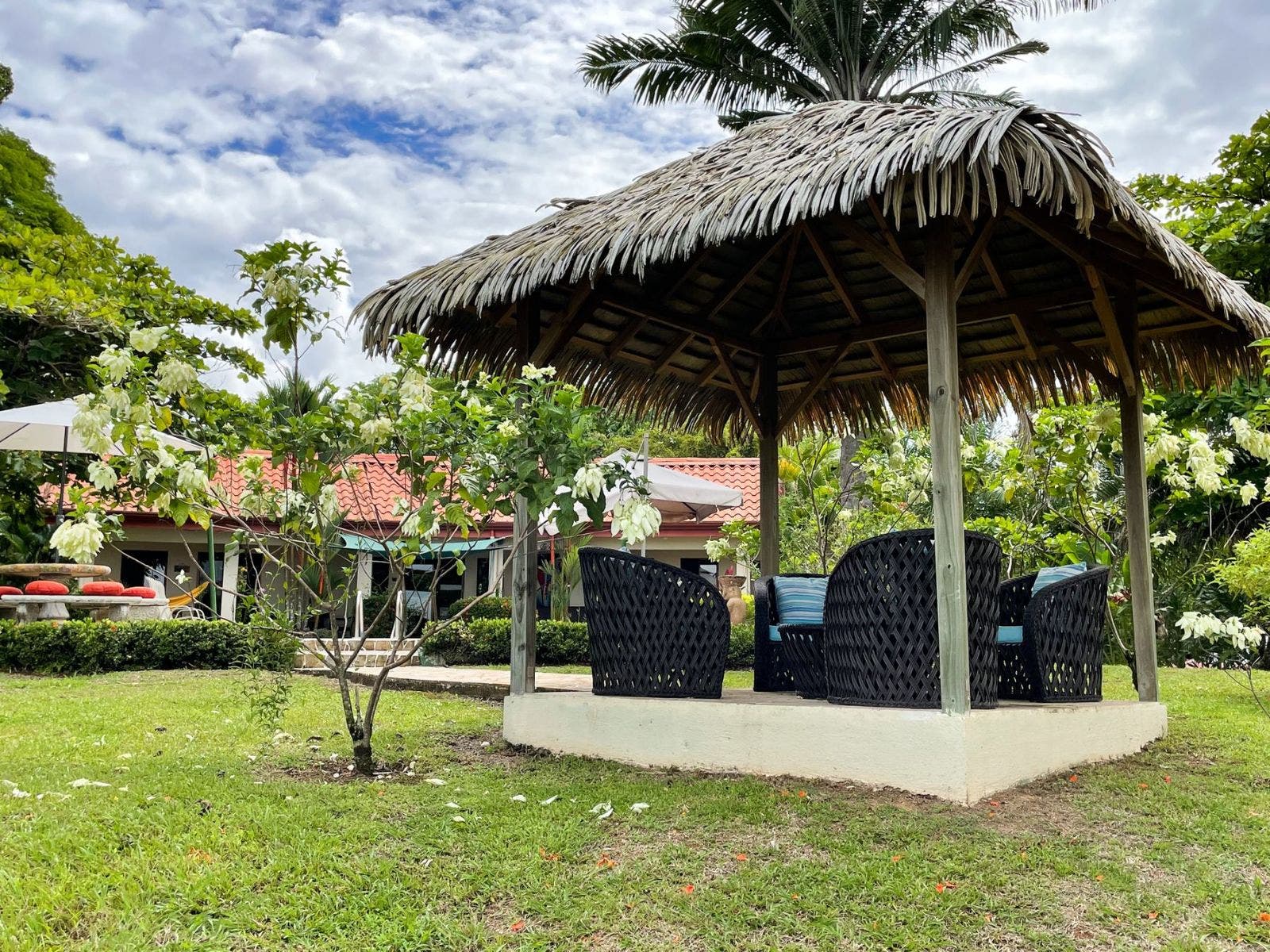 Charming Ocean View Home in Ojochal — foto 19 de 19