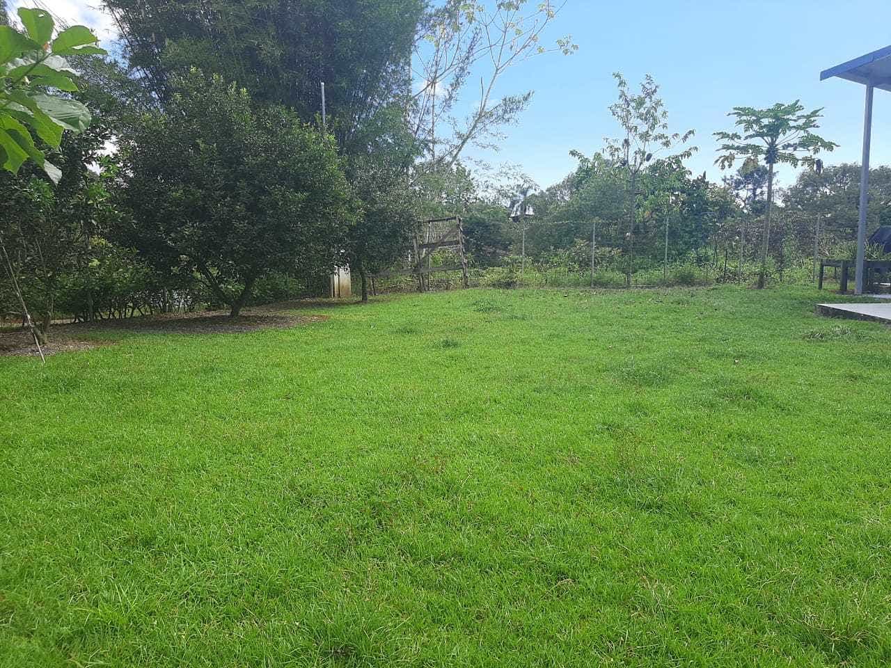 Naranjito Finca Gloriana — photo 12 of 15