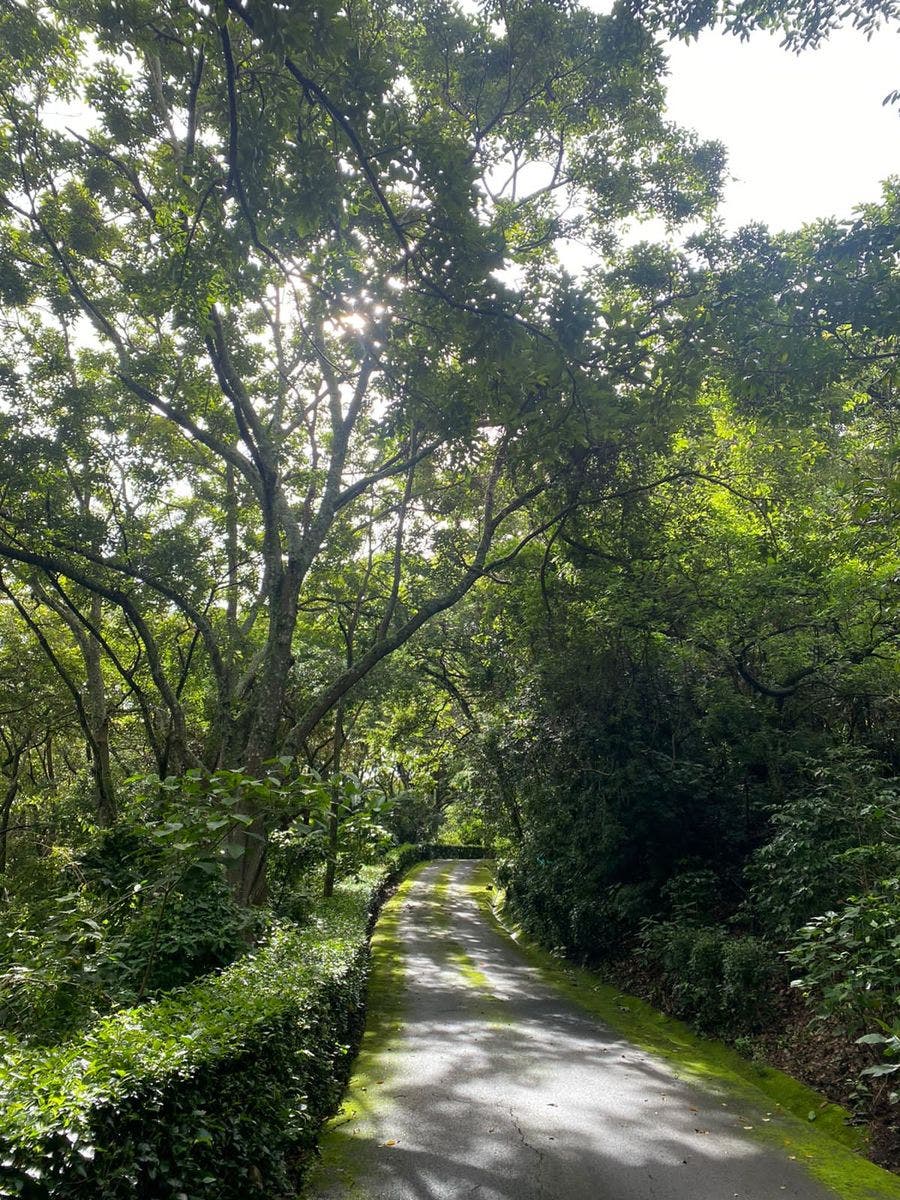 Salitral Gated Community, Santa Ana, Salitral, Santa Ana, San Jose, Costa Rica