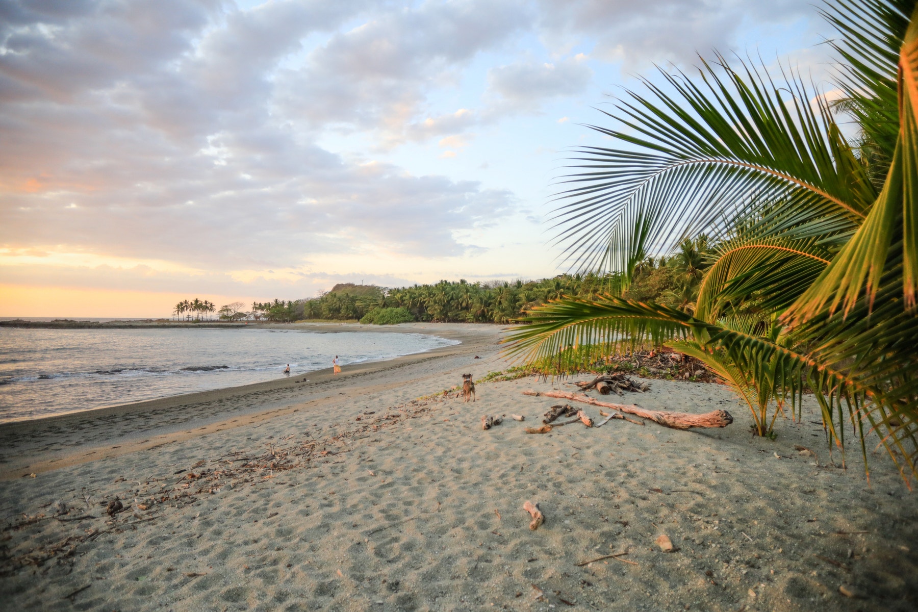 Beautiful Malpais Beachfront Lots, Mal Pais, Santa Teresa, Cobano, Puntarenas, Puntarenas, Costa Rica 60111 — photo 5 of 5