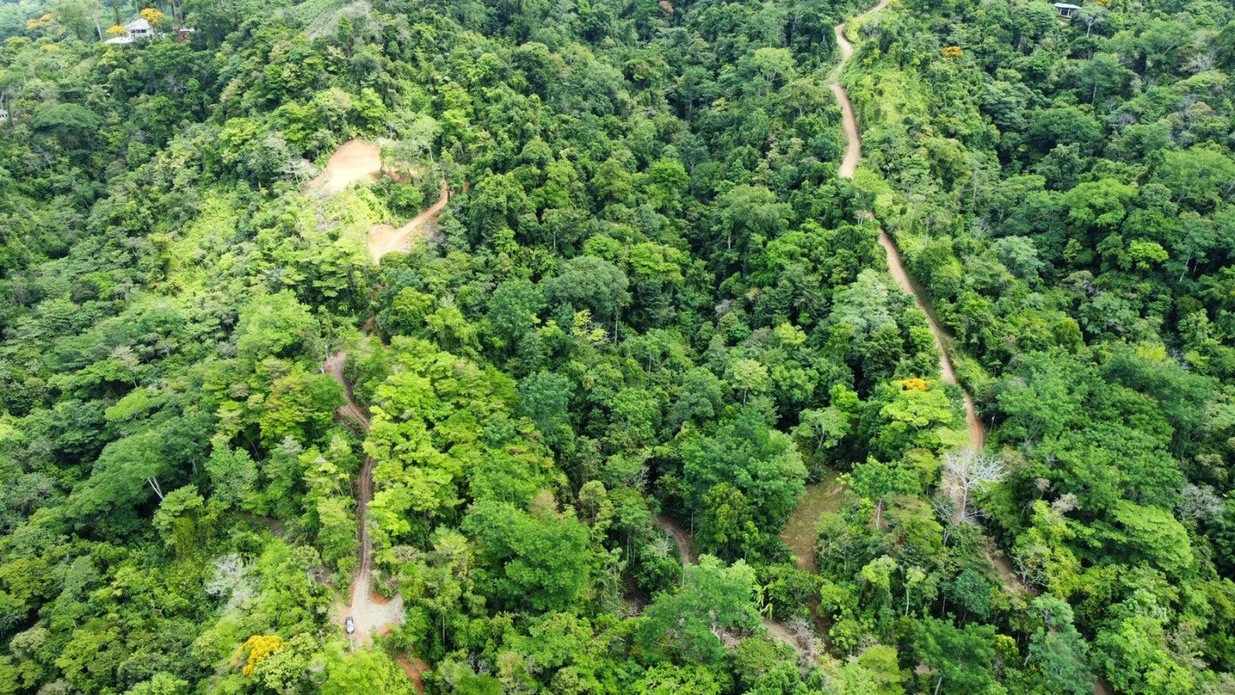 17 Acres with Ocean and Jungle View in Uvita — photo 3 of 19
