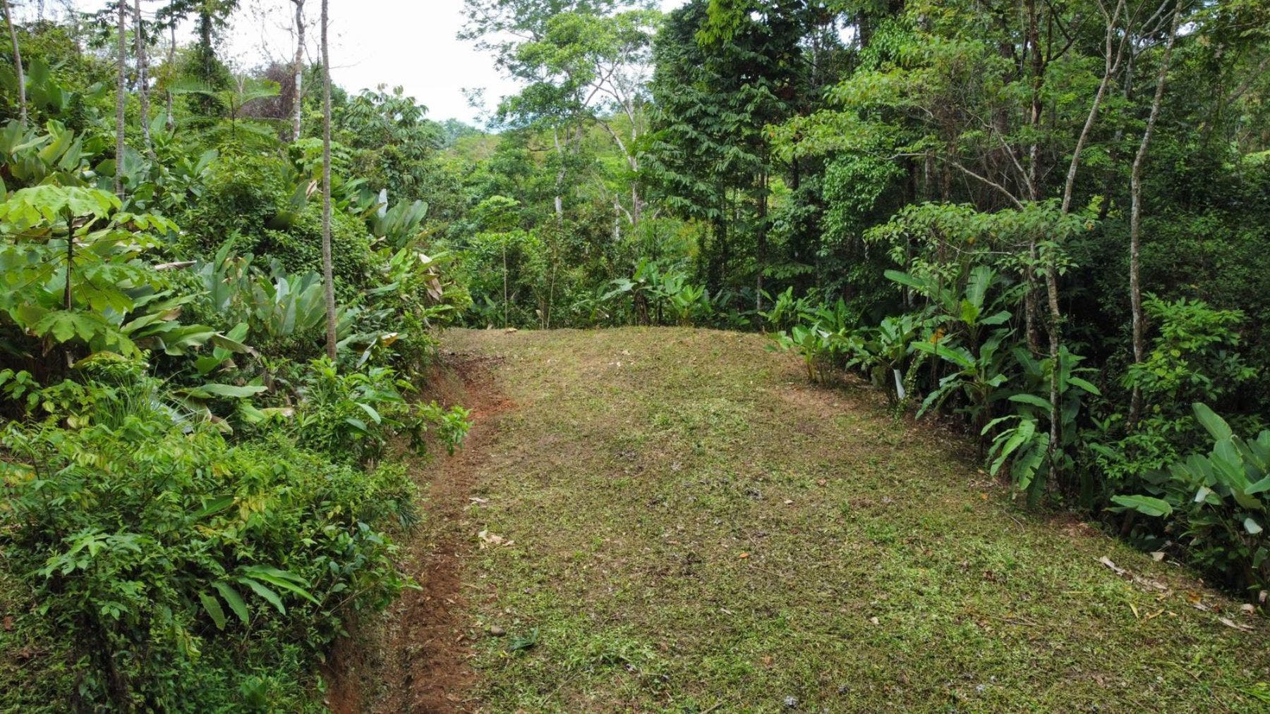 17 Acres with Ocean and Jungle View in Uvita — photo 4 of 19