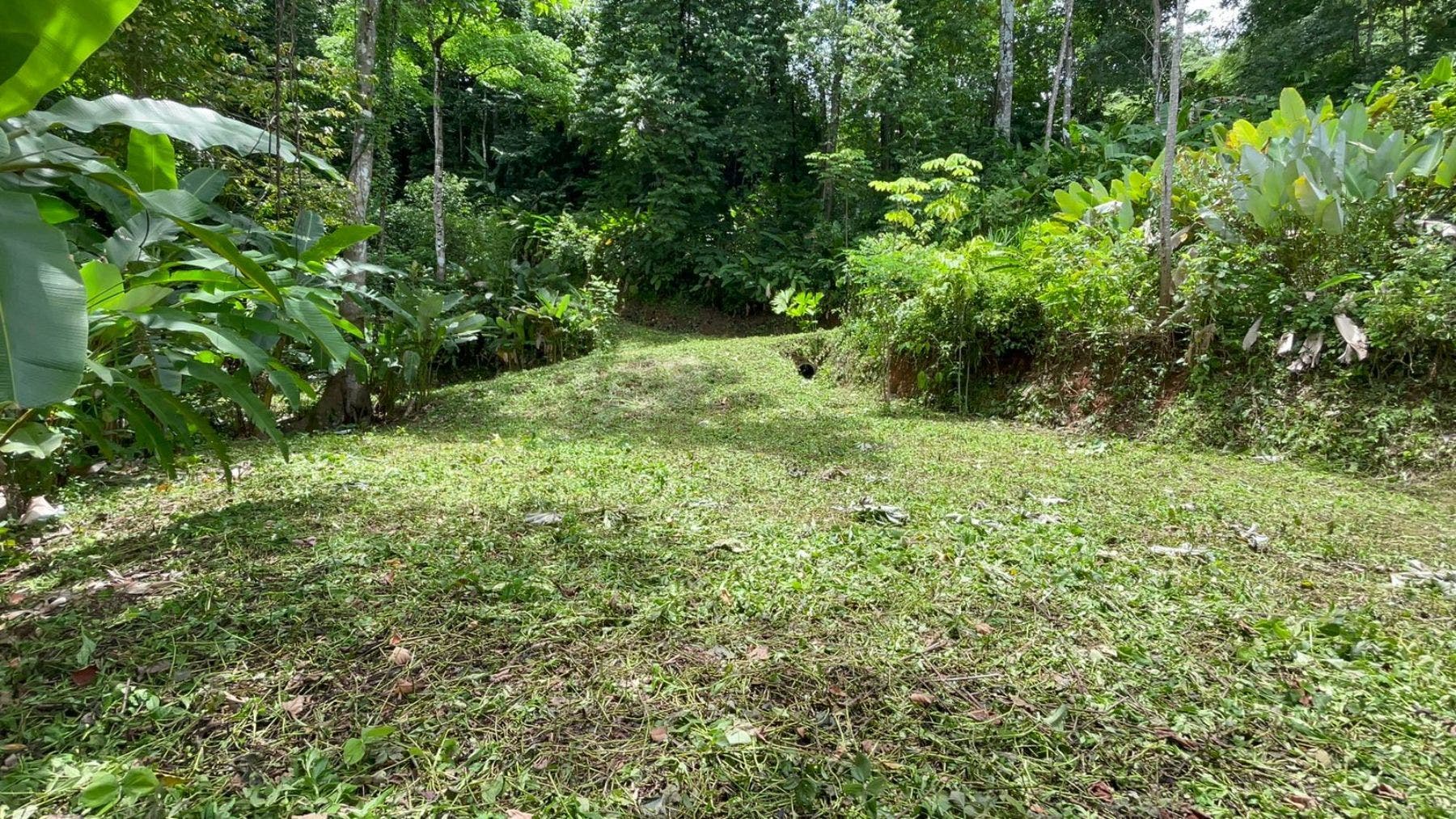 17 Acres with Ocean and Jungle View in Uvita — photo 13 of 19