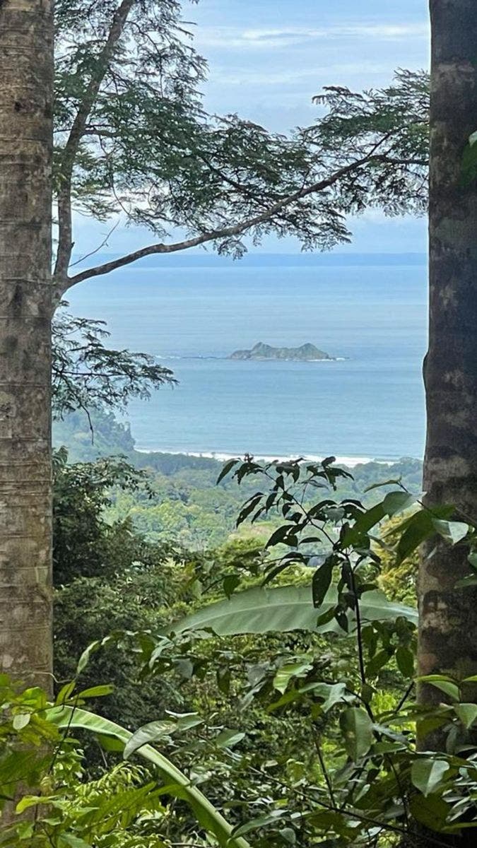 17 Acres with Ocean and Jungle View in Uvita — photo 15 of 19