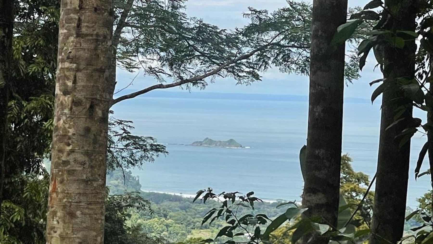 17 Acres with Ocean and Jungle View in Uvita — photo 16 of 19