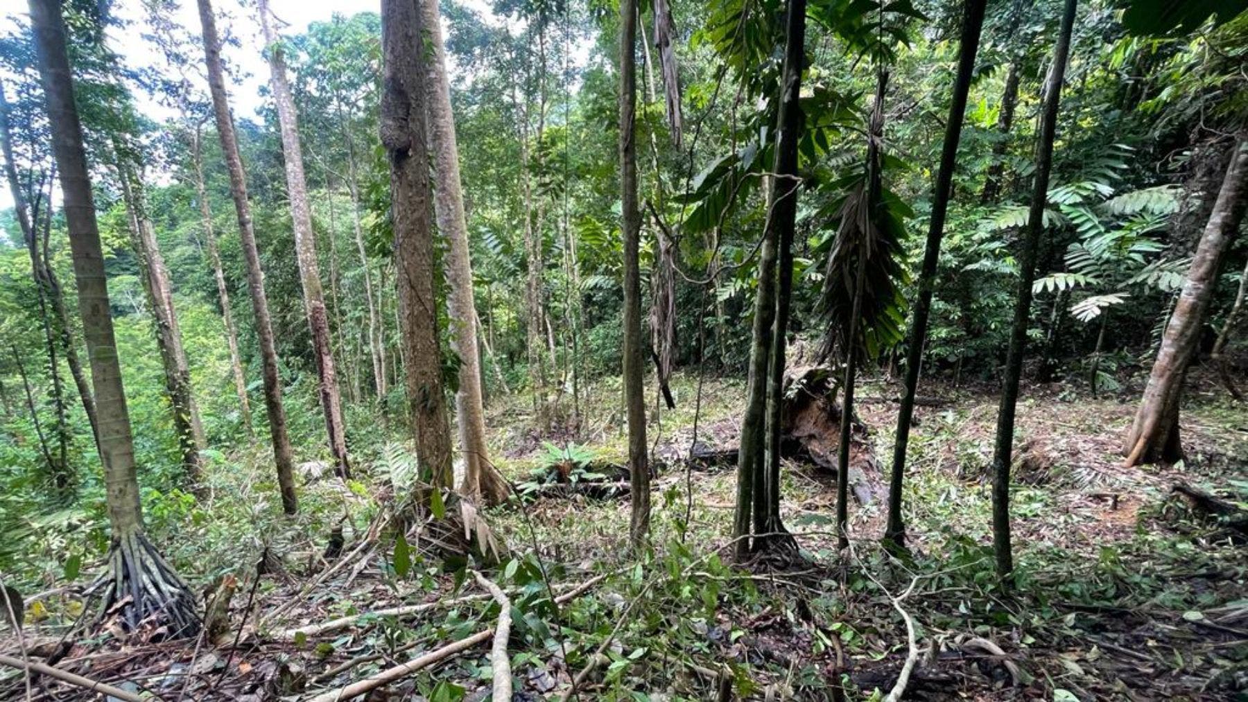 17 Acres with Ocean and Jungle View in Uvita — photo 19 of 19
