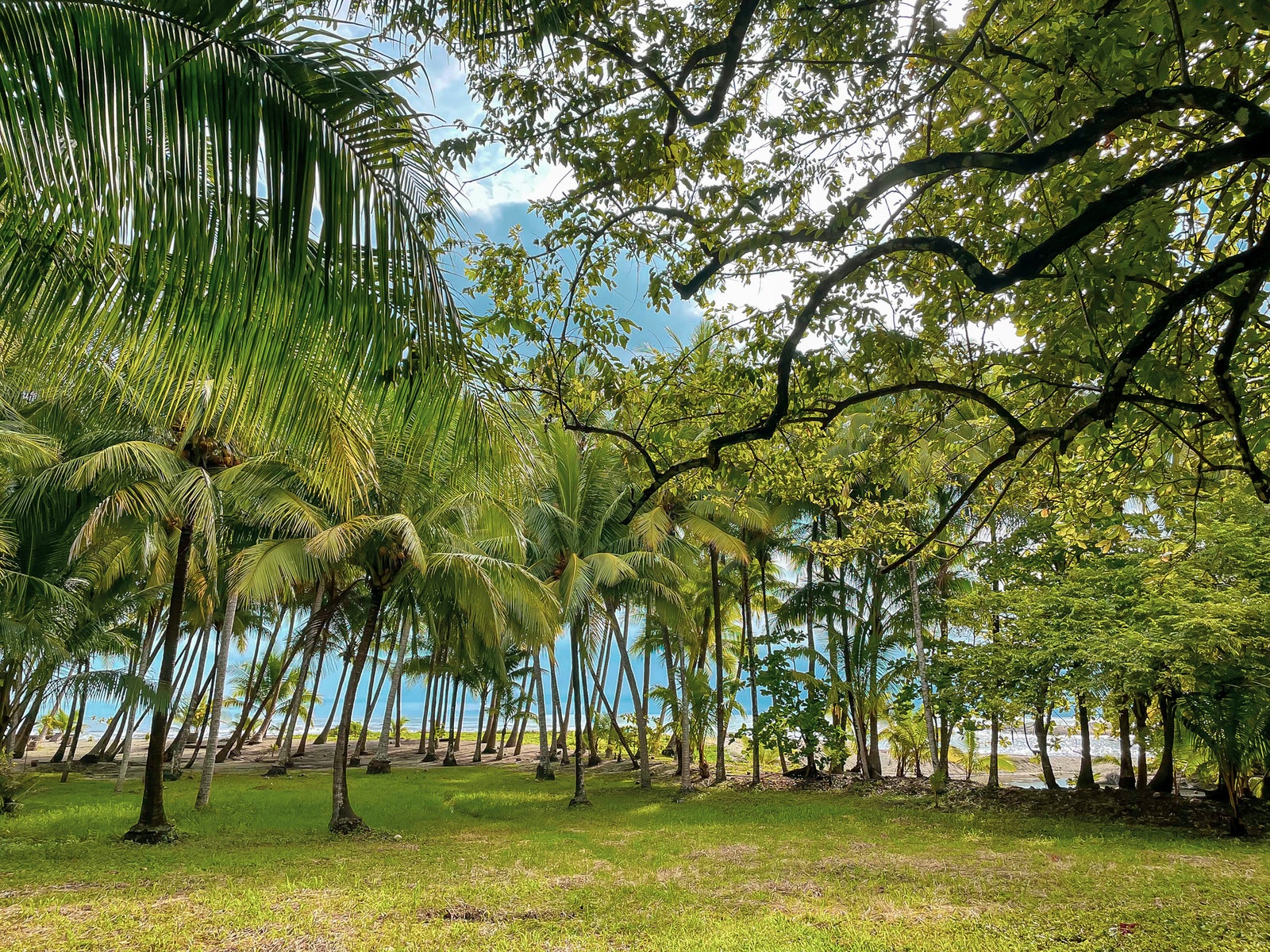 Beautiful Malpais Beachfront Lots, Mal Pais, Santa Teresa, Cobano, Puntarenas, Puntarenas, Costa Rica 60111 — photo 4 of 5