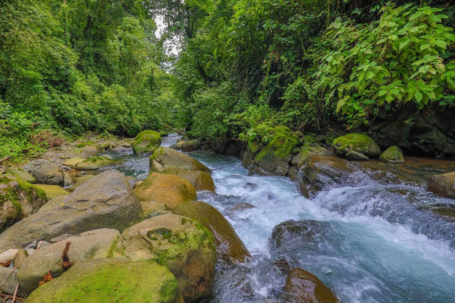With Stunning Views, and Private Swimming Holes in Uvita First Ridge — photo 6 of 17