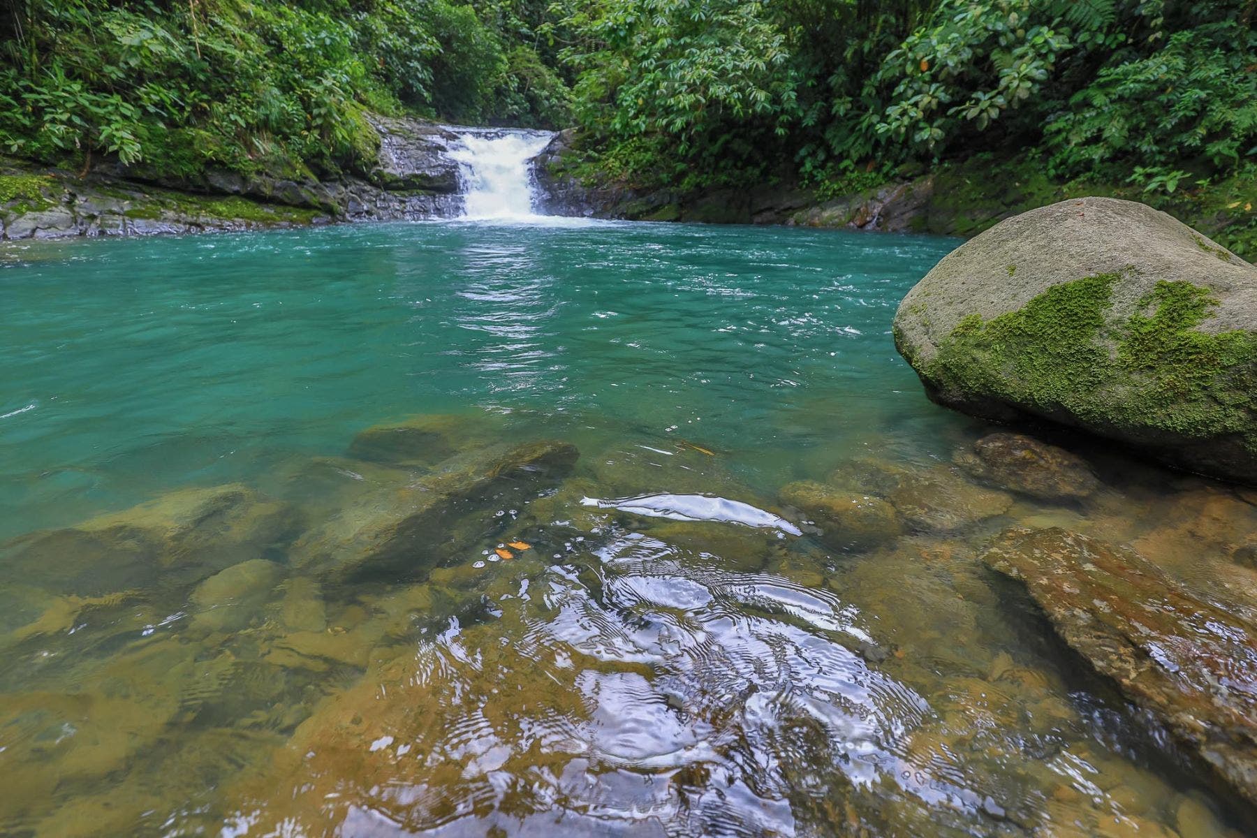 With Stunning Views, and Private Swimming Holes in Uvita First Ridge — photo 8 of 17