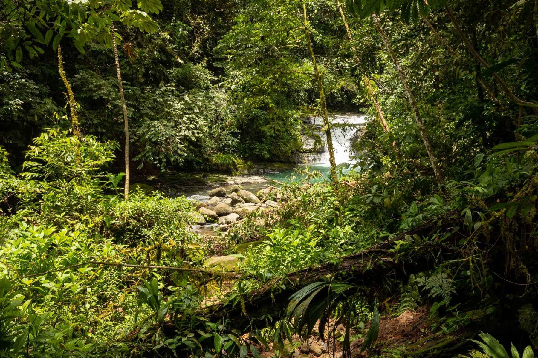 With Stunning Views, and Private Swimming Holes in Uvita First Ridge — photo 10 of 17