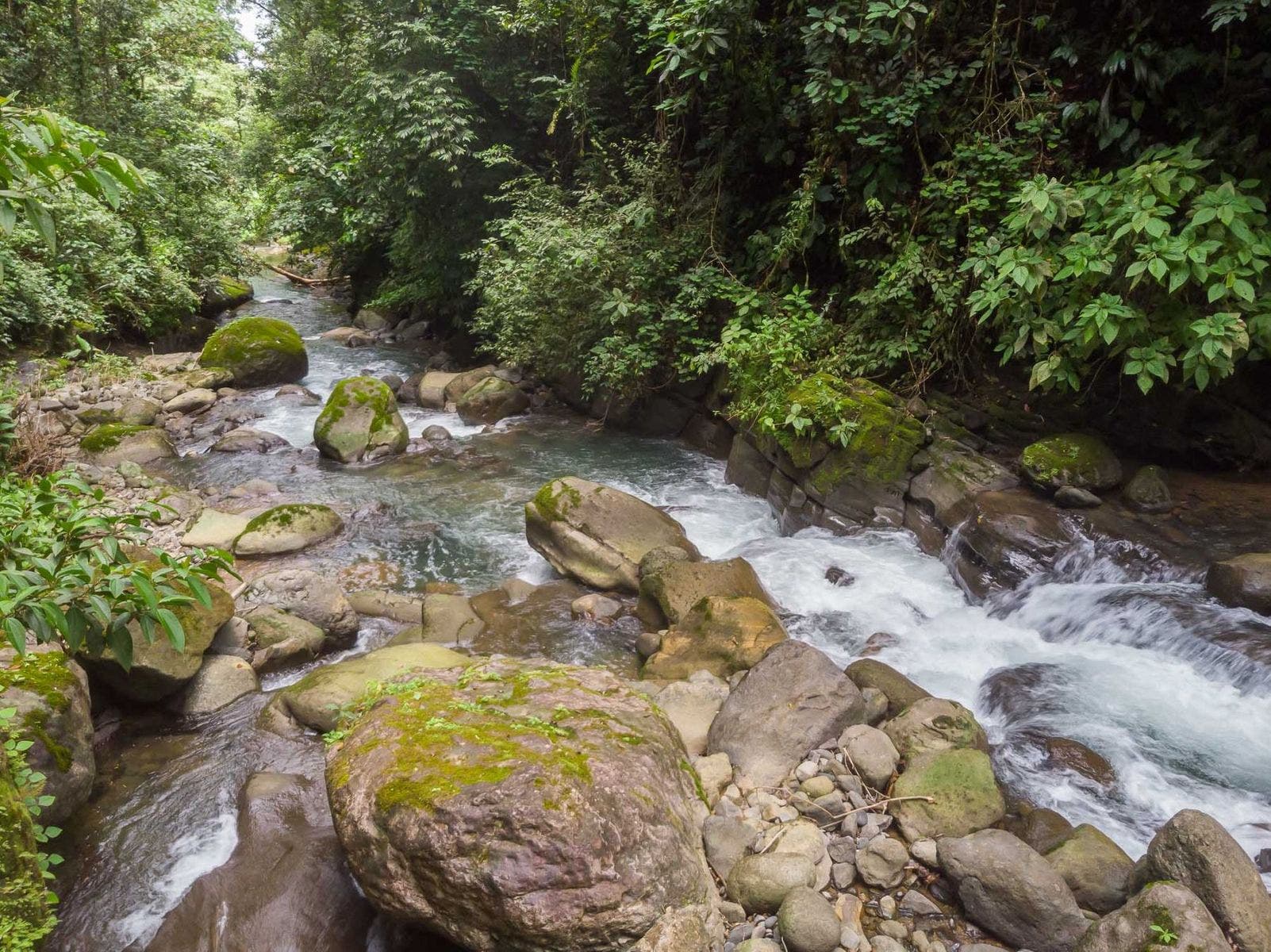 With Stunning Views, and Private Swimming Holes in Uvita First Ridge — photo 16 of 17