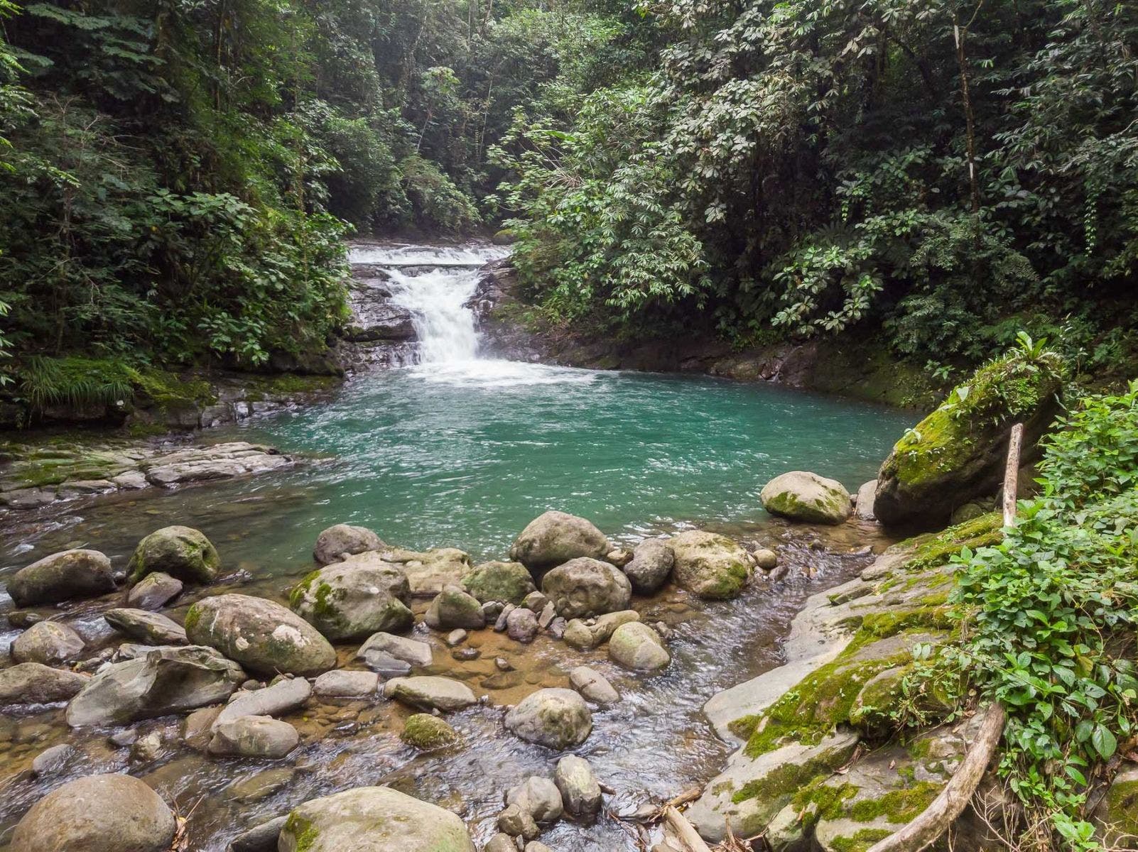 With Stunning Views, and Private Swimming Holes in Uvita First Ridge — photo 17 of 17