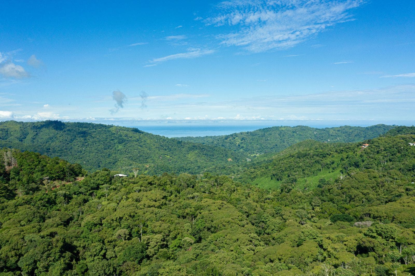 Stunning Bungalow with Pool and Ocean View on 19 Acres — photo 4 of 19