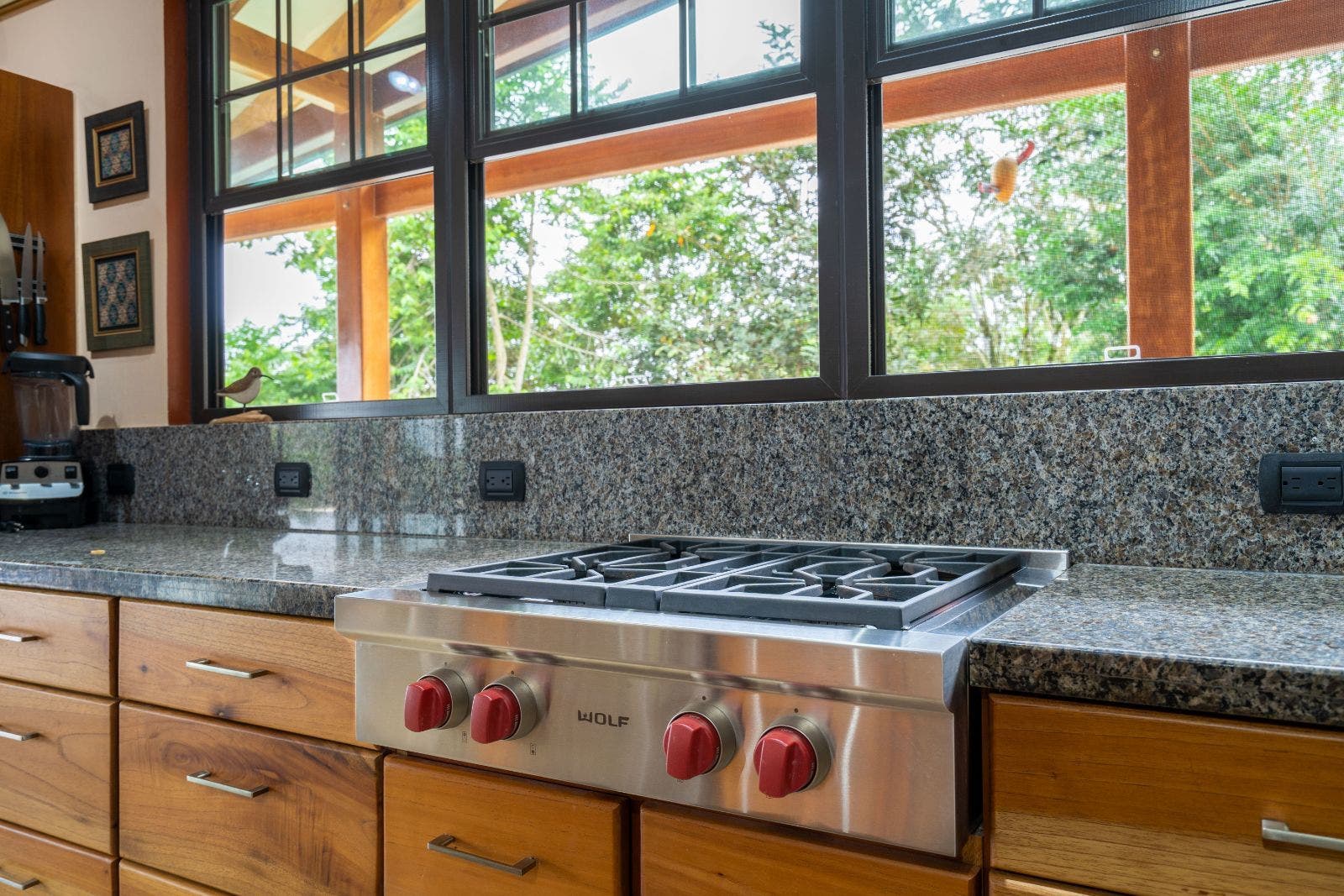 Stunning Bungalow with Pool and Ocean View on 19 Acres — photo 6 of 19