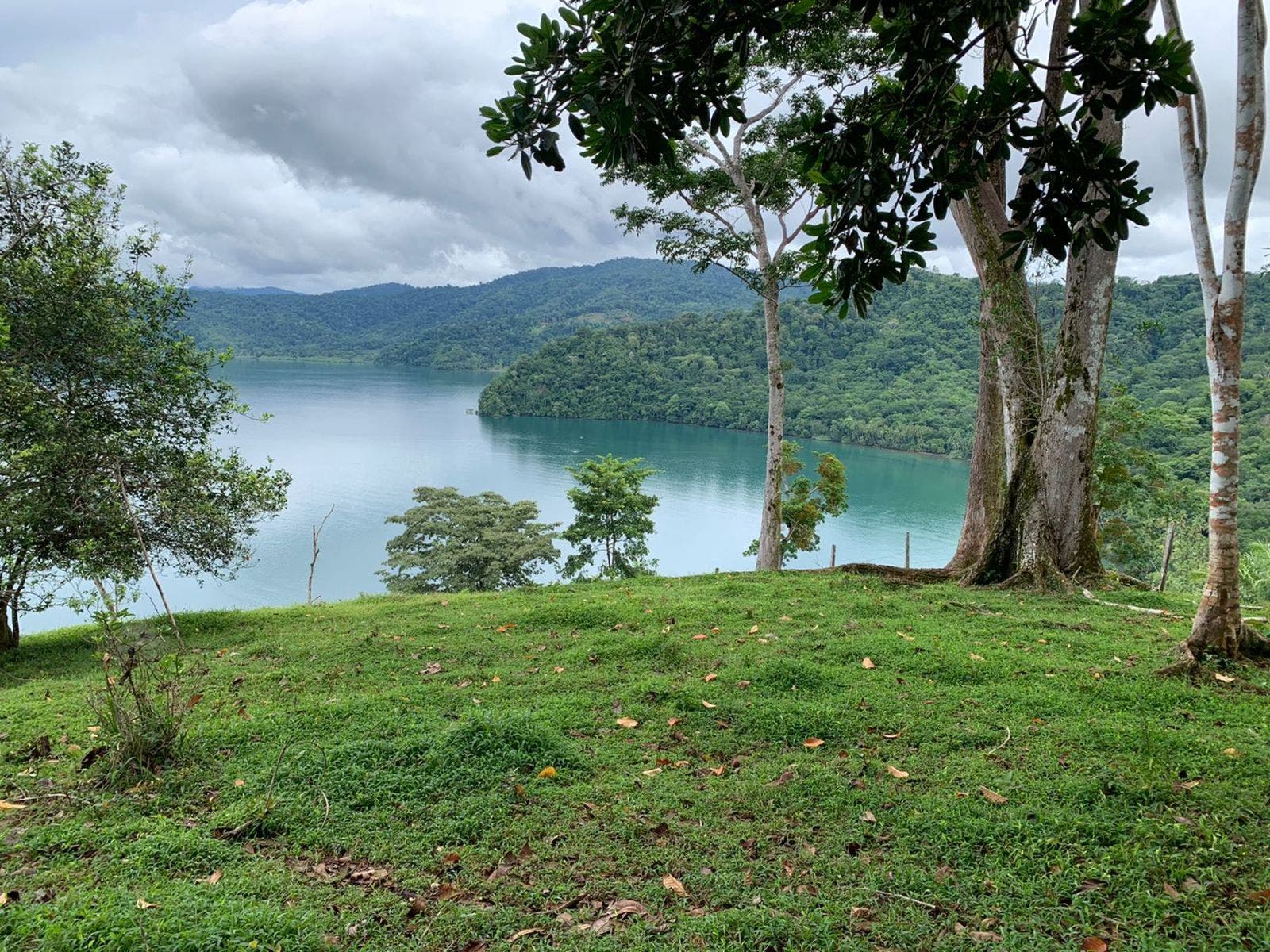 Farm with Stunning Ocean and Gulf Views, Rincon, Golfito, Puerto Jimenez, Golfito, Puntarenas, Costa Rica 60503