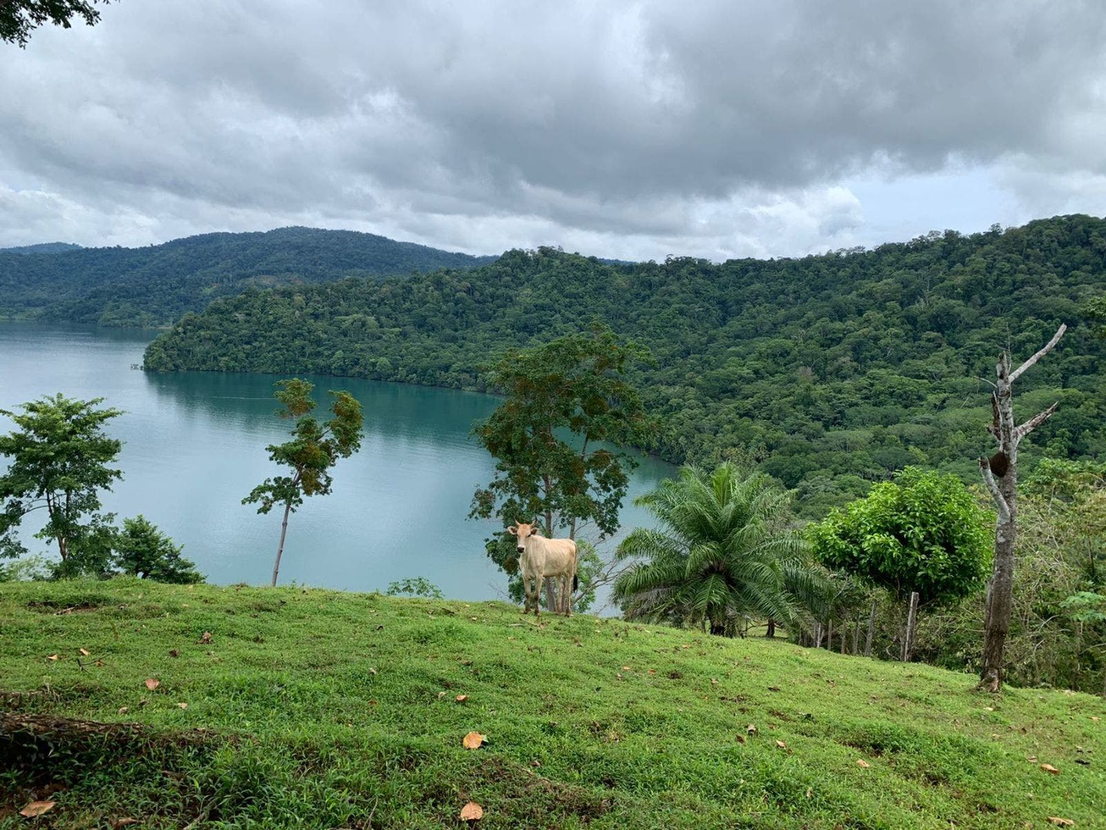 Farm with Stunning Ocean and Gulf Views — photo 2 of 11