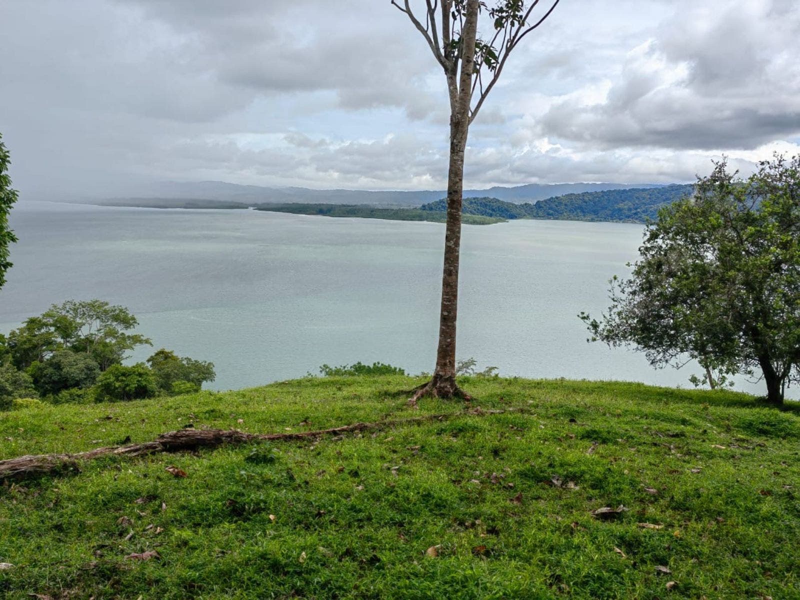 Farm with Stunning Ocean and Gulf Views — photo 5 of 11