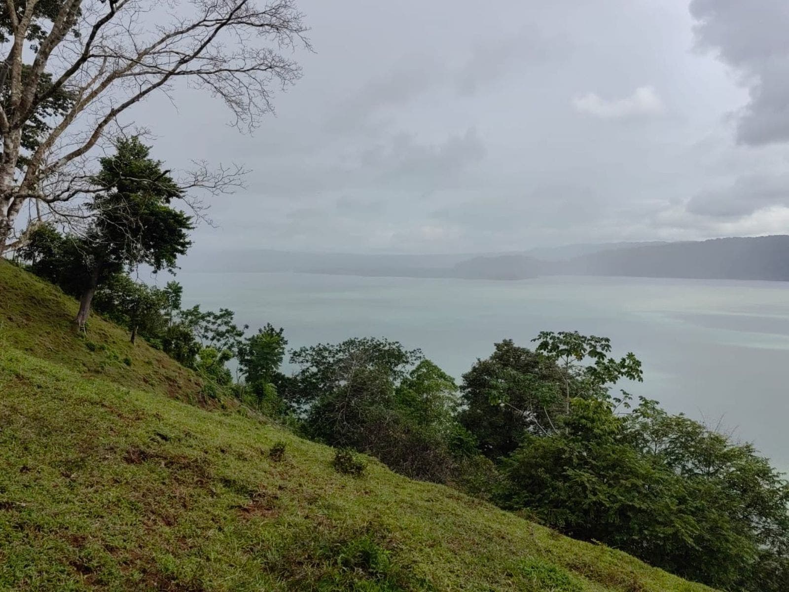 Farm with Stunning Ocean and Gulf Views — photo 9 of 11