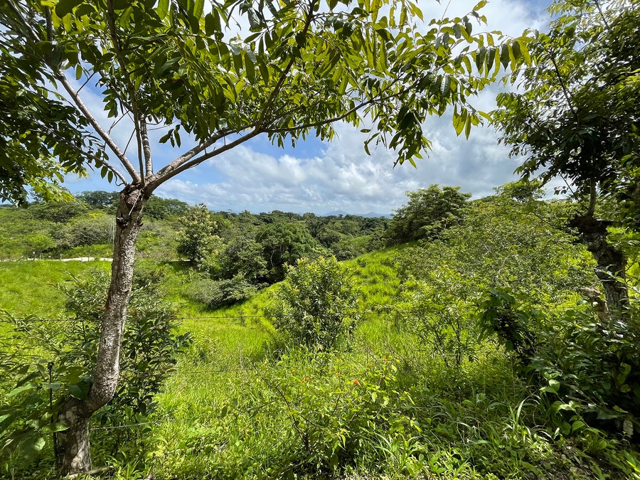 Property photo for Valley View San Isidro Lot , Santa Teresa, Cobano, Puntarenas, Puntarenas, Costa Rica