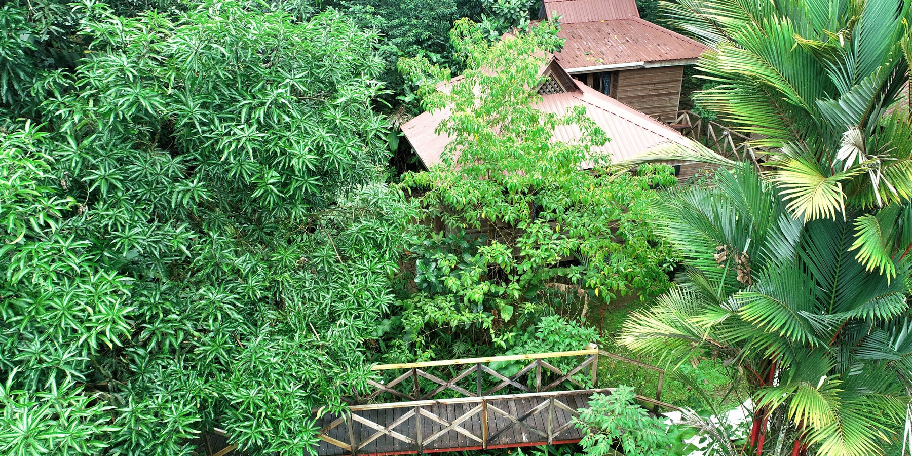 Riverfront jungle hotel centrally located Ojochal — foto 13 de 19