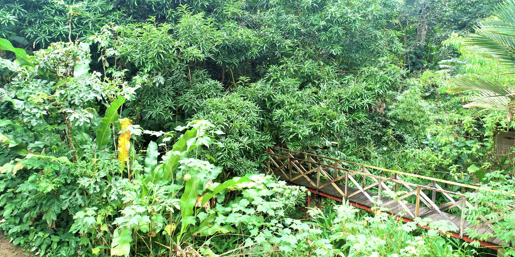 Riverfront jungle hotel centrally located Ojochal — foto 16 de 19