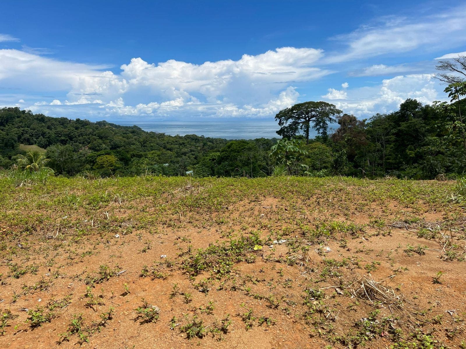 Development Land in Uvita with Stunning Ocean View — photo 4 of 14