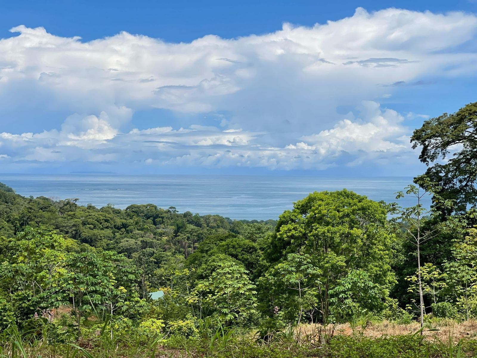 Development Land in Uvita with Stunning Ocean View — photo 7 of 14
