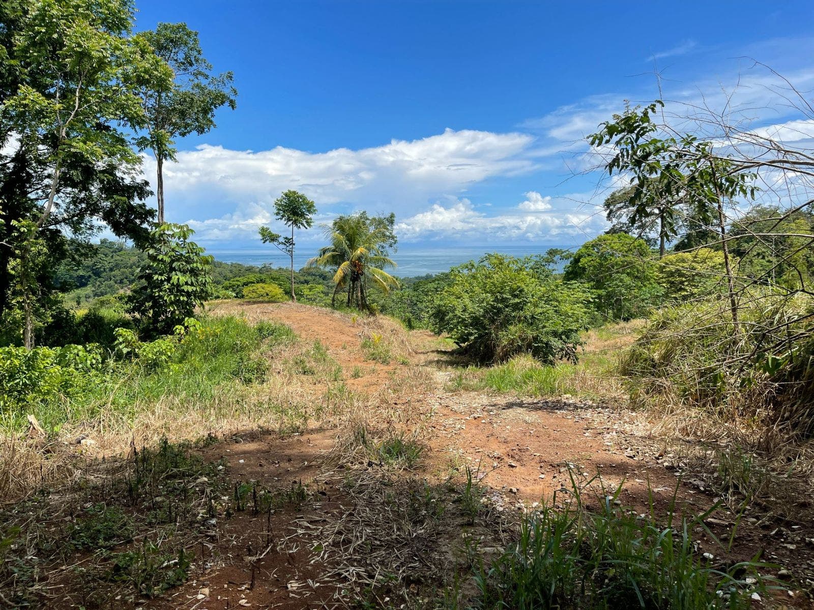 Development Land in Uvita with Stunning Ocean View — photo 5 of 14