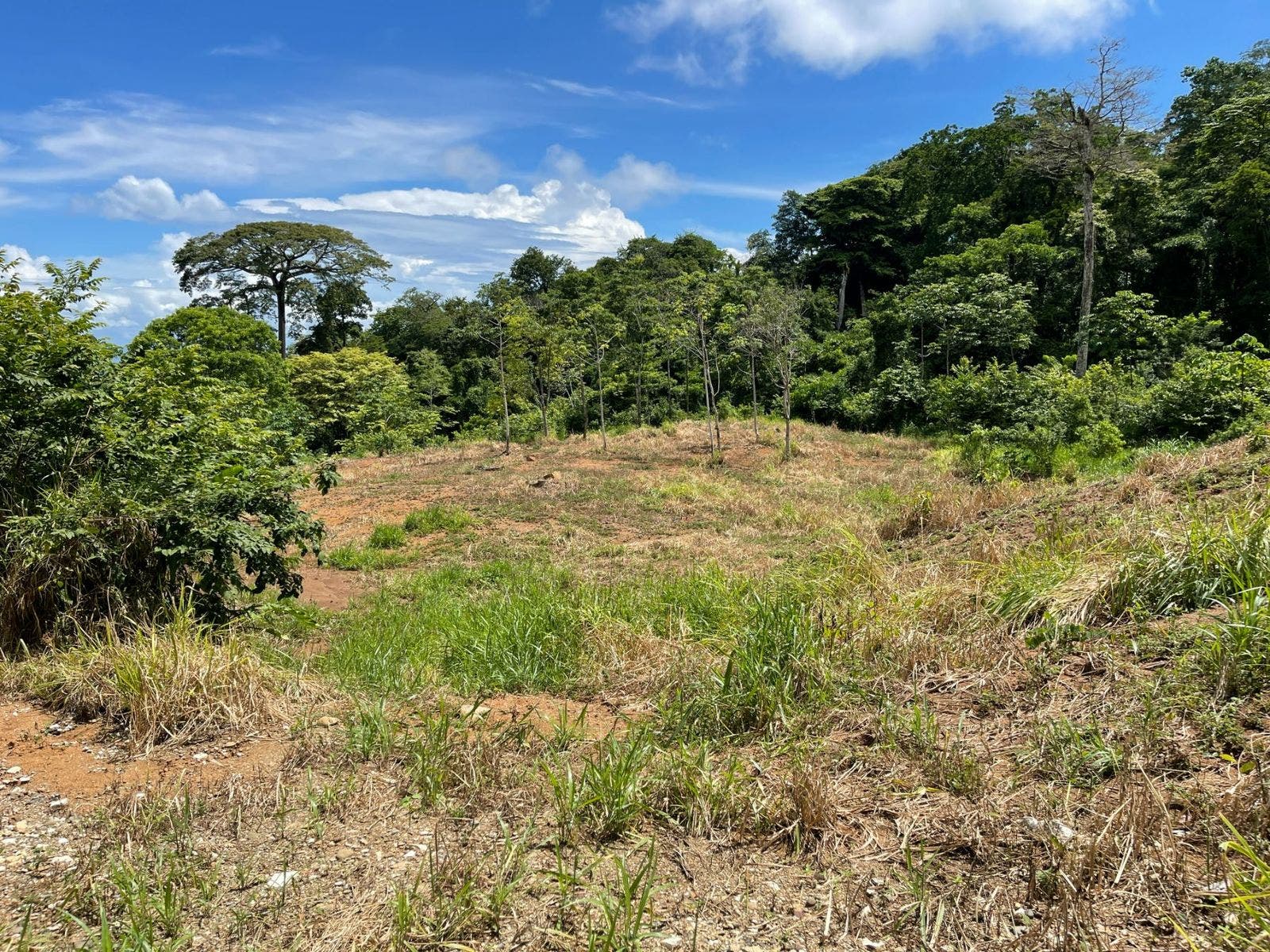 Development Land in Uvita with Stunning Ocean View — photo 8 of 14