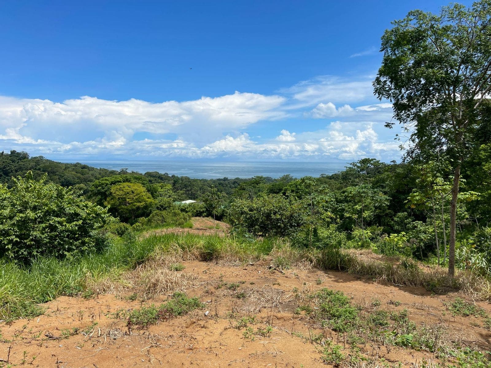 Development Land in Uvita with Stunning Ocean View — photo 9 of 14