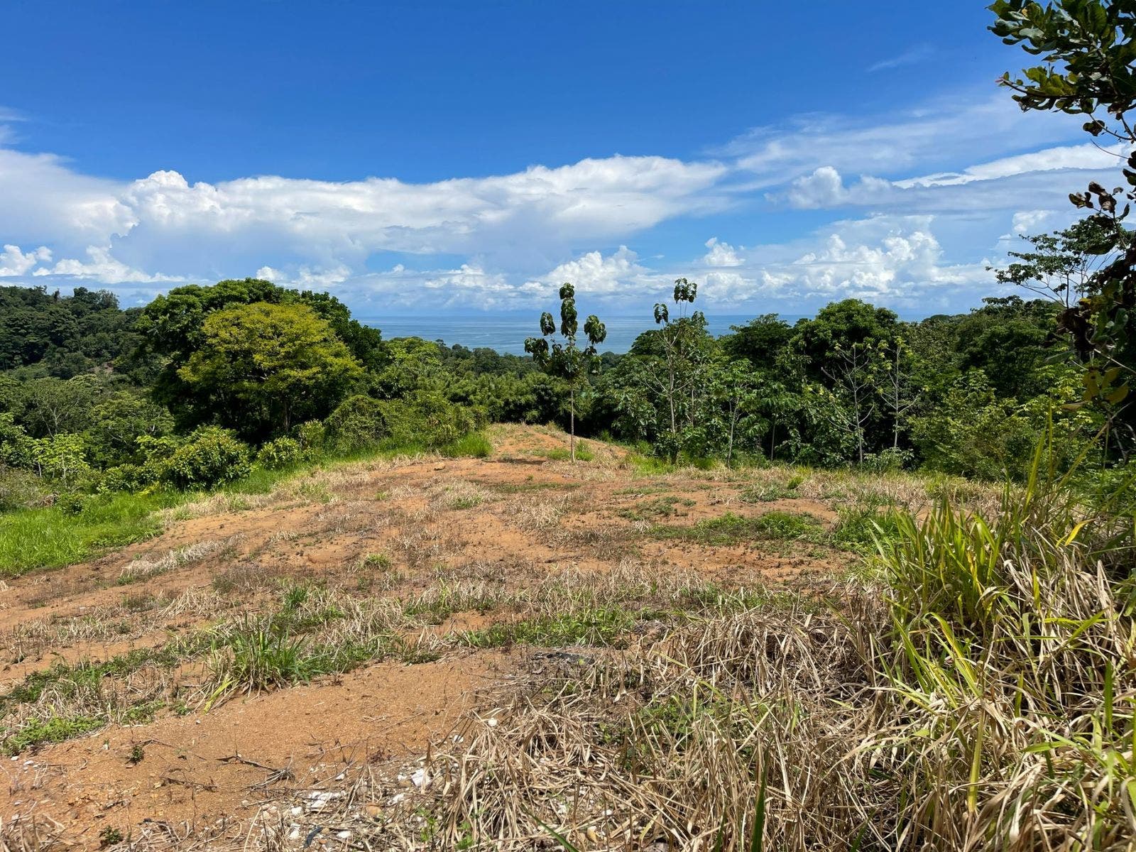 Development Land in Uvita with Stunning Ocean View — photo 10 of 14